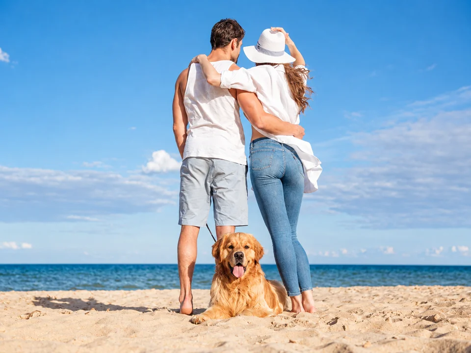 A couple and their golden retriever enjoying the beach together