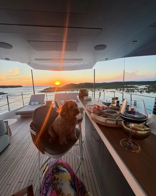 A dog relaxing aboard a boat at sunset