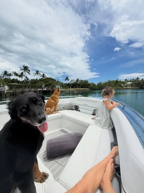 Two dogs and their people out on a boat, from Bahamas Pet Import’s Instagram