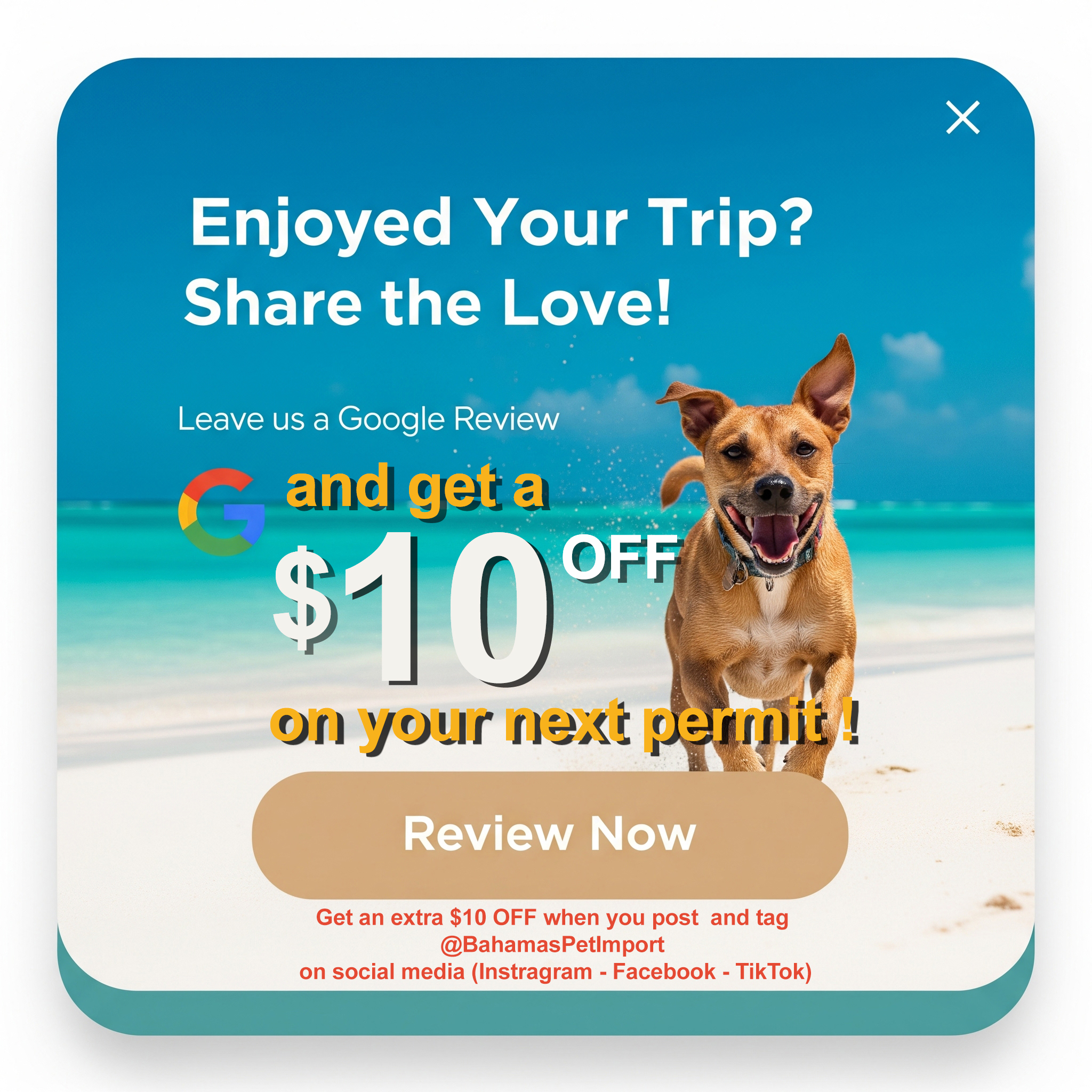 Leave a Google Review for Bahamas Pet Import