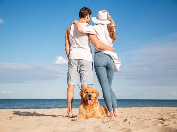 Bahamas Pet Import – Your Pet's Travel Concierge for The Bahamas