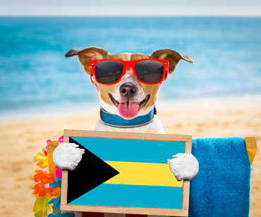 Bahamas Pet Import – Your Pet's Travel Concierge for The Bahamas